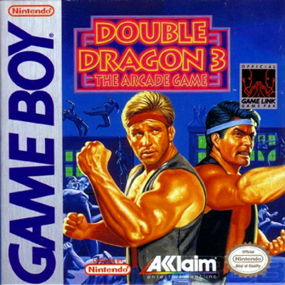 Front cover for Double Dragon 3 for the Nintendo Game Boy.